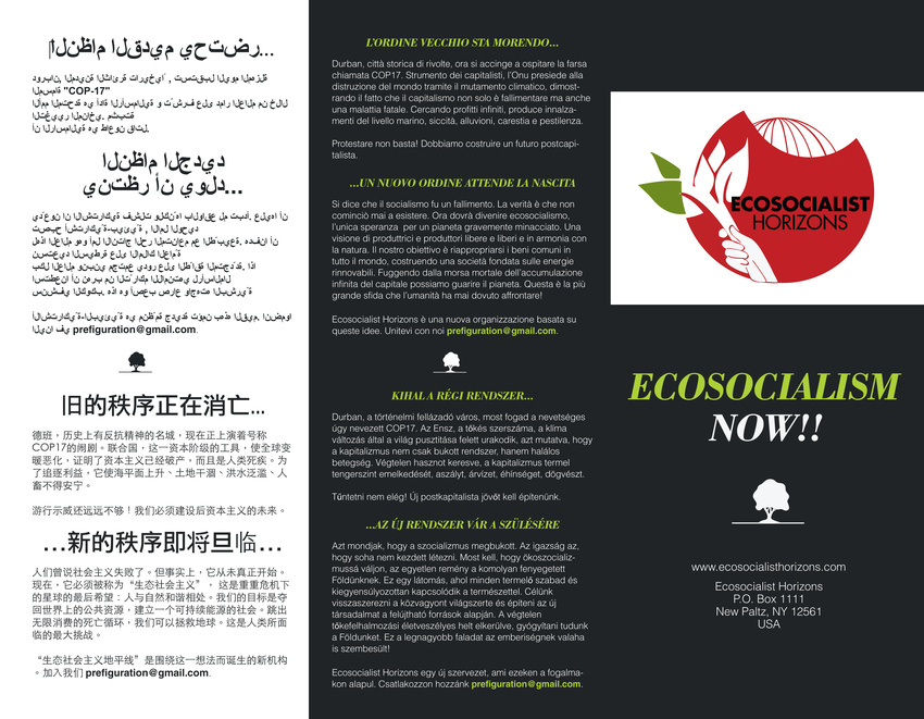 Brochure / Designer