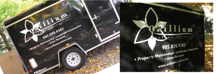 Vehicle Vinyl