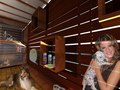 Petshop in wood