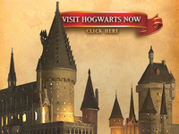 10 of 10 - Harry Potter Attraction at Universal Studios Theme Park