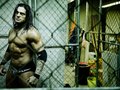 Cibernetico