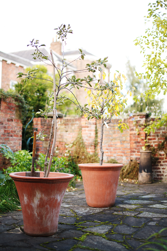 National Trust Advertorial