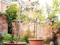 National Trust Advertorial