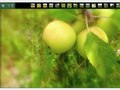 Permaculture Design