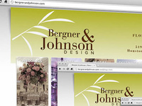 bergnerandjohnson.com