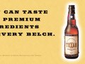 St. Andrew's Brewery: Texan Beer