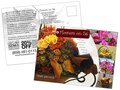 Direct Mail Postcard - Flowers on 56
