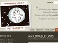 Pet Rabbit World