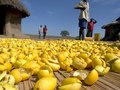Pabbo refugee camp, Northern Uganda