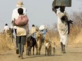 Exile. Internally displaced villagers seek safety, South Sudan