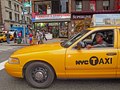 New York Citu