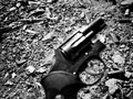 .38 Special, Snub-nose