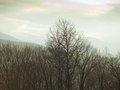North Country