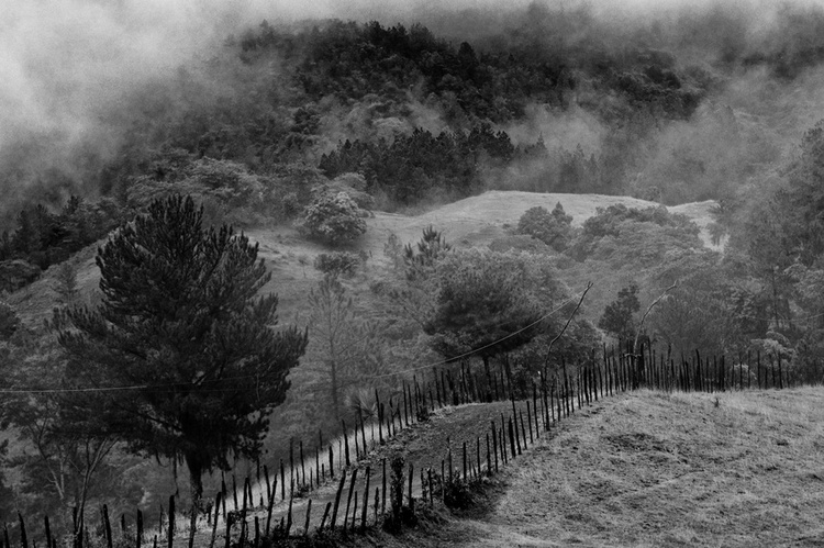 The Road