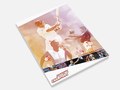 Sporting Champions - Branding & Design