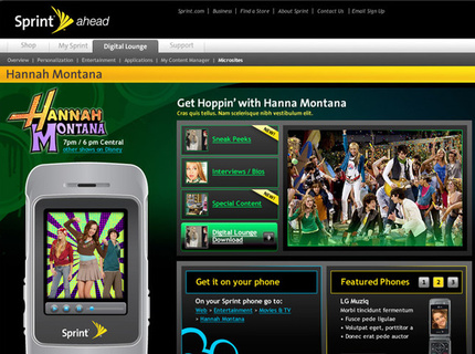 Sprint Digital Entertainment User Interface Design / Phone Illustration