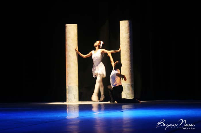 Swan Performance