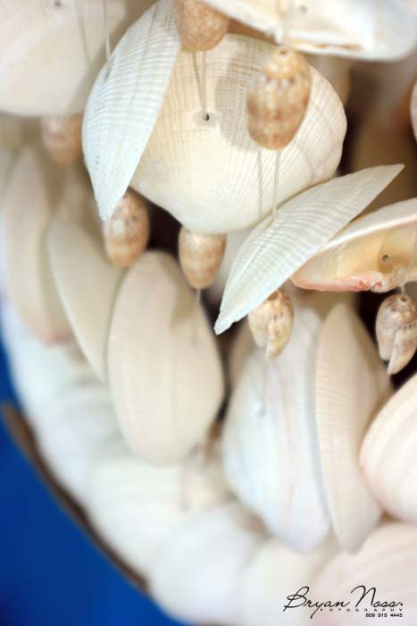 Clams Lamp