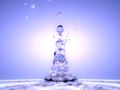 FLUIDS