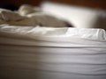 Morning Sheets