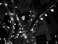 Lights