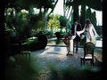 vineyard, shk properties