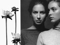 giordano ladies