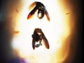 bamboo bees