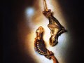 gecko - male and female