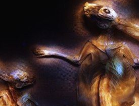 Jingmai - chinese medicine series