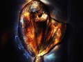 dried fish