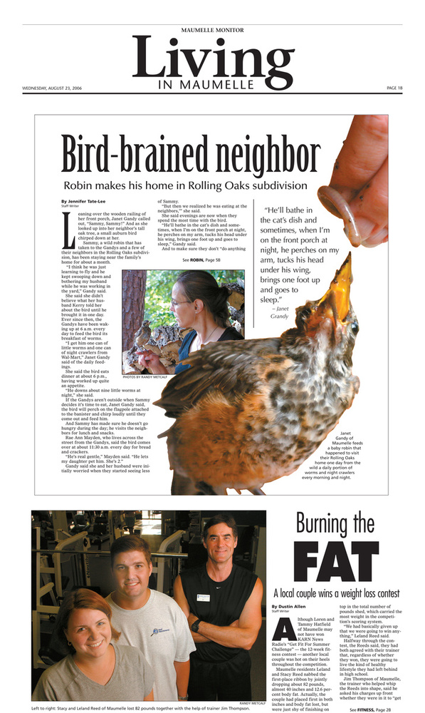 Bird Brained Layout