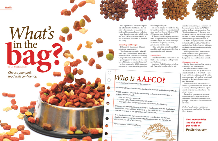 Magazine Layout