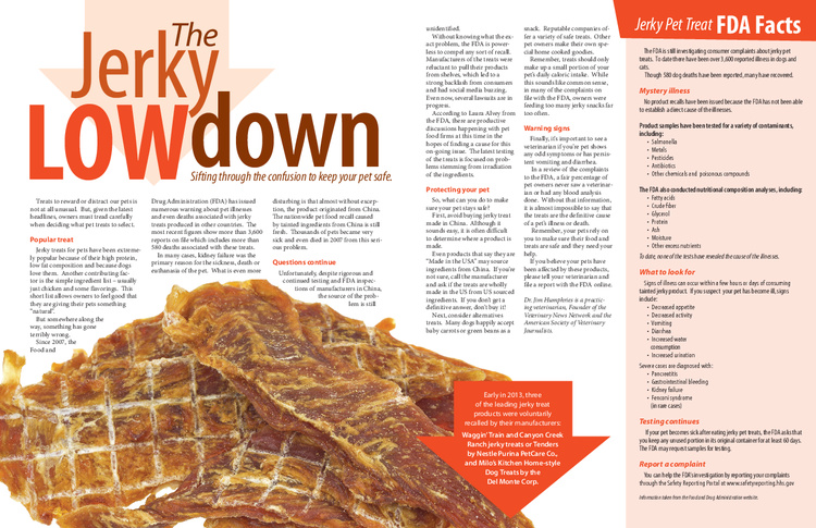 Magazine Layout