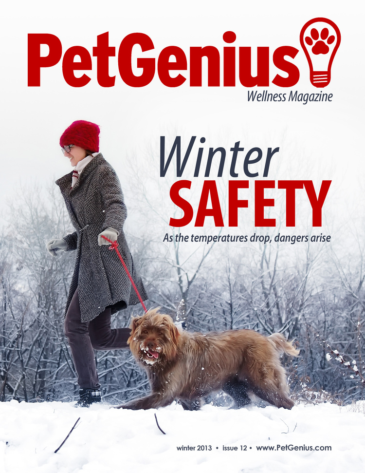 Magazine Cover