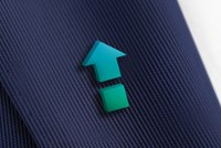 Chicago Housing Inc.