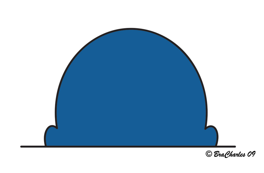 The Head Logo