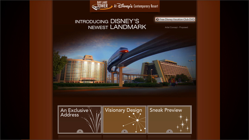 Flash Design and Develoment