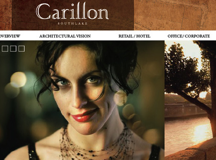 Proposal for Carillon development web page