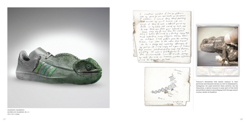 Spread eight. The "Chameleon" story.
