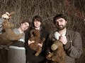 MOJO/ Animal Collective