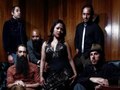 Dengue Fever/ Press