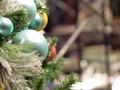 Tiffany's Holiday Decorations
