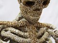 Kiehls "Mr. Bones"