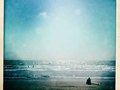 Ocean Park, CA