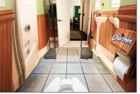 Charmin - Brand Experience