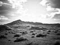 The deserted