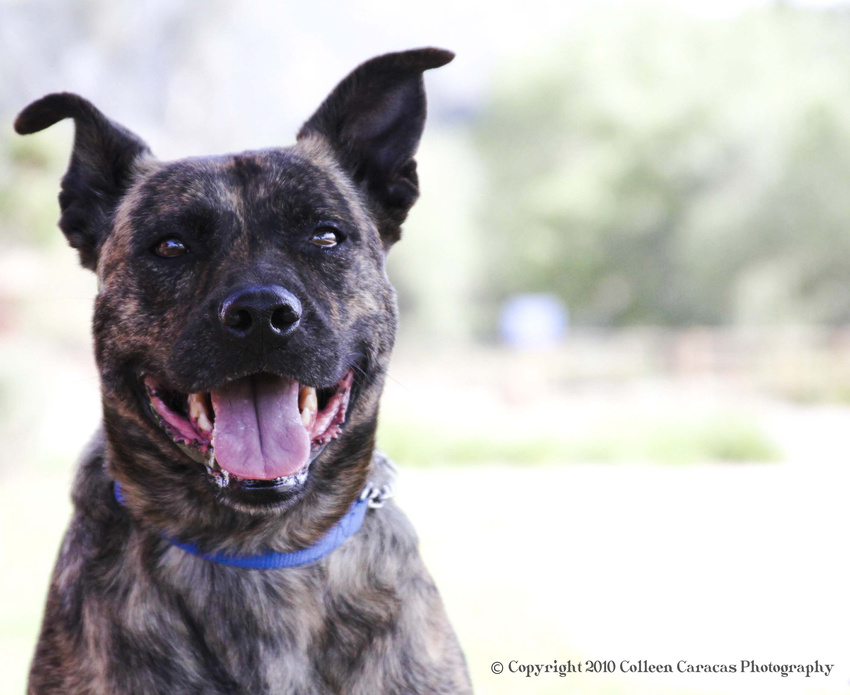 Jack- itsthepits.org