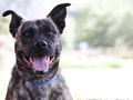 Jack- itsthepits.org