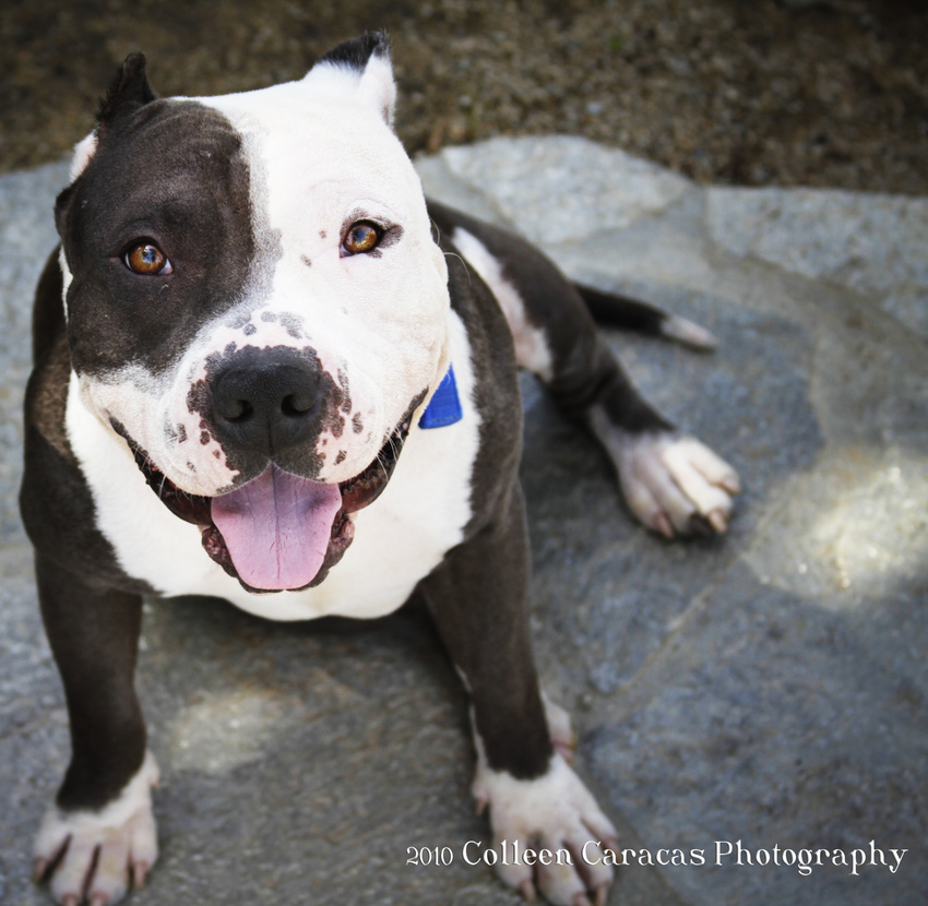 Chubba- itsthepits.org